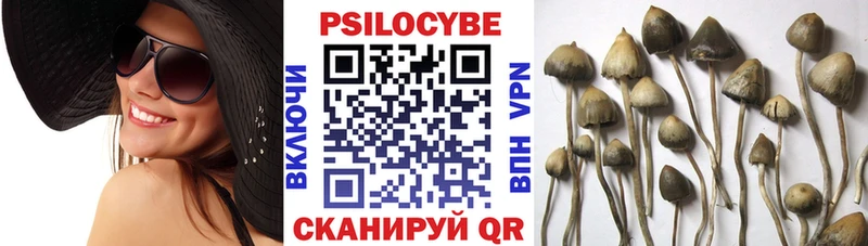 это телеграм  Кизляр  Галлюциногенные грибы ЛСД  сколько стоит 