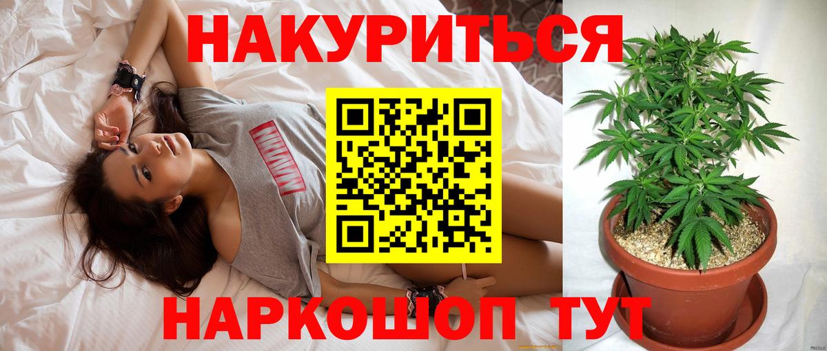 Канабис план Кизляр